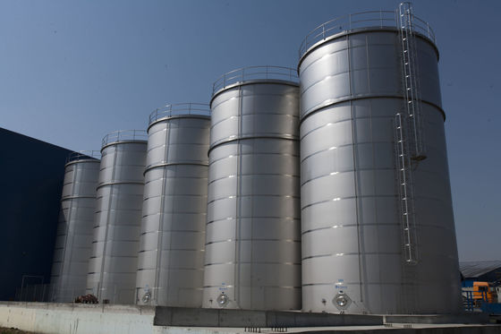 Paslanmaz Çelik Yastık Plakalı Ceket Tankı, 300L Craft Bira Depolama Tankı