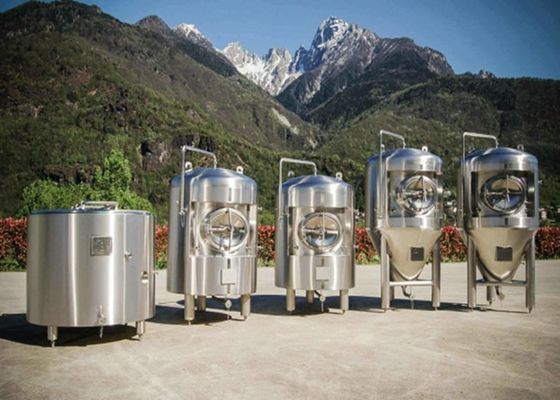 GMP İlaç 5000L Yastık Plakası Ceketli Tank